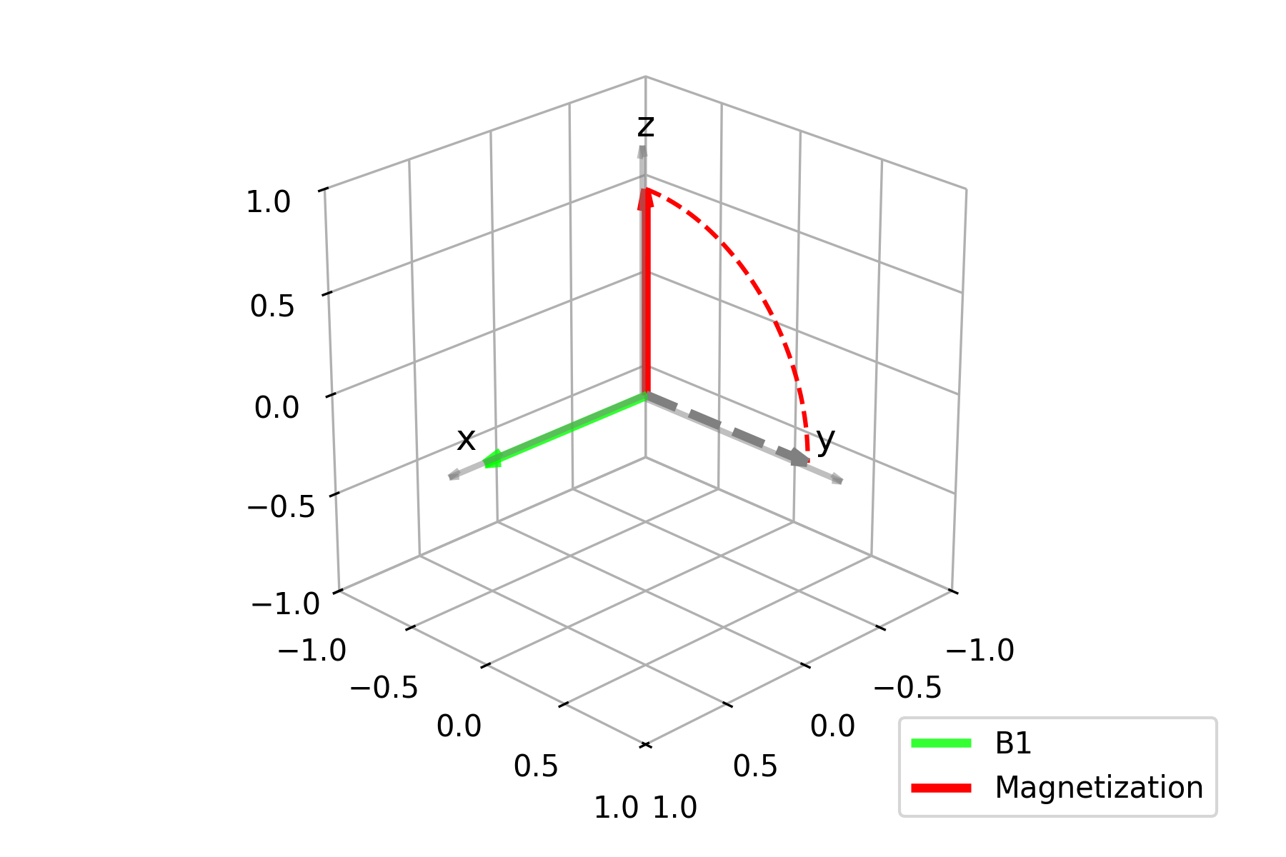 Magnetization and the rotation generated by the RF pulse